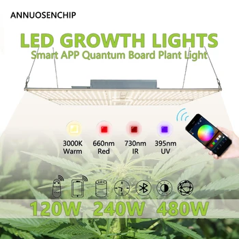 Крытый Полный Спектр Smart LED Quantum Plant Grow Light AC 100-277 В 120 Вт 240 Вт 480 Вт Цветочный Суккулентный Саженец Освещение Заполняющая Лампа
