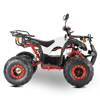 Новый мощный Электрический квадроцикл 2000 Вт 60 В, 4-колесный квадроцикл для взрослых, квадроцикл с литиевой батареей EEC COC