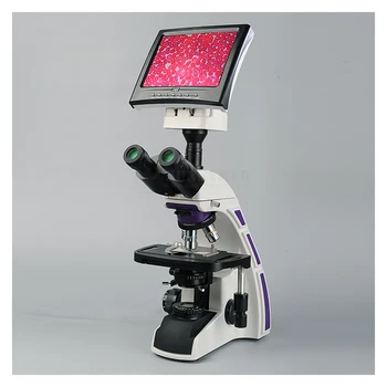 Микроскоп с Бинокулярным ЖК-дисплеем для лабораторного использования SY-B129T для продажи